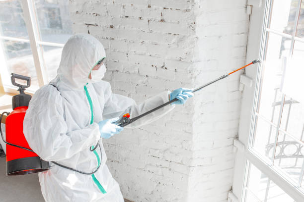 Best Emergency Mold Remediation  in USA